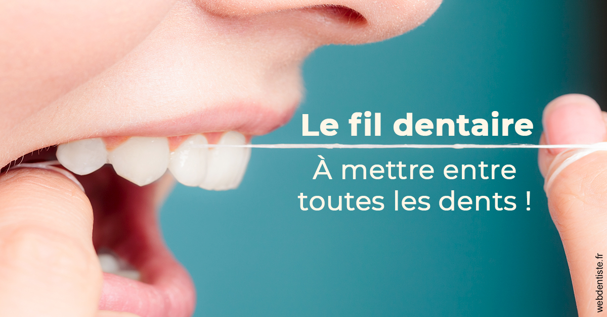https://dr-levaux-jp.chirurgiens-dentistes.fr/Le fil dentaire 2