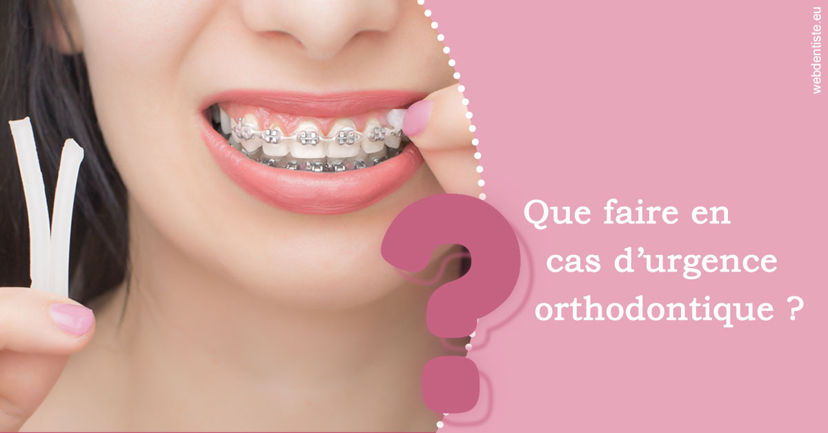 https://dr-levaux-jp.chirurgiens-dentistes.fr/Urgence orthodontique 1