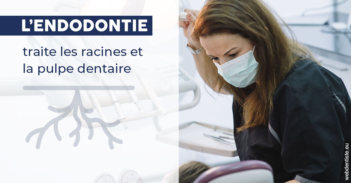 https://dr-levaux-jp.chirurgiens-dentistes.fr/L'endodontie 1