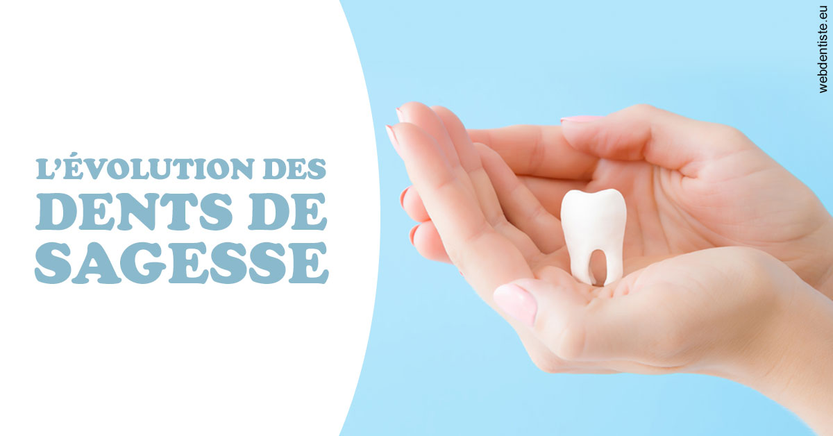 https://dr-levaux-jp.chirurgiens-dentistes.fr/Evolution dents de sagesse 1