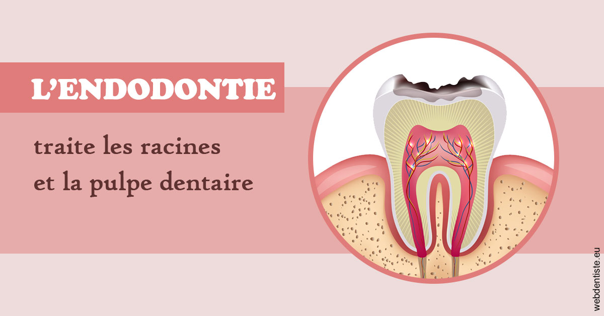 https://dr-levaux-jp.chirurgiens-dentistes.fr/L'endodontie 2
