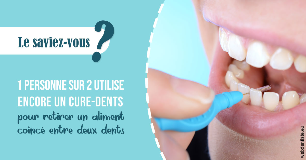 https://dr-levaux-jp.chirurgiens-dentistes.fr/Cure-dents 1
